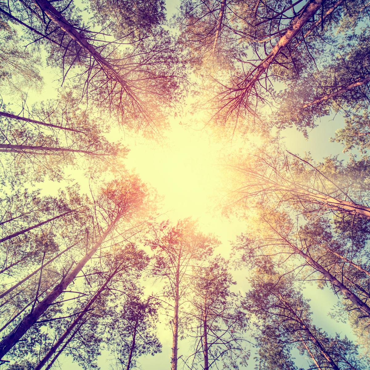 The Mandela Effect And How Your Mind Is Playing Tricks On You The Mandela Effect And How Your Mind Is Playing Tricks On You