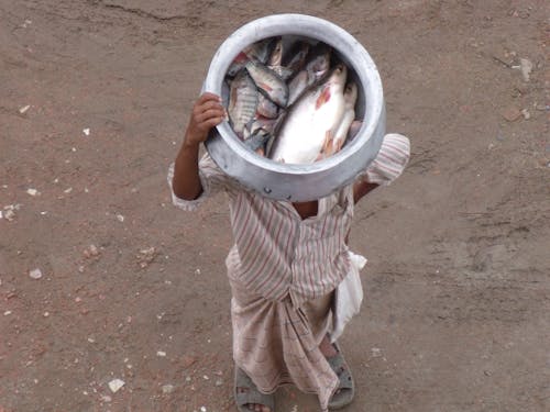 Mobile vendor selling affordable fish in Bangladesh.