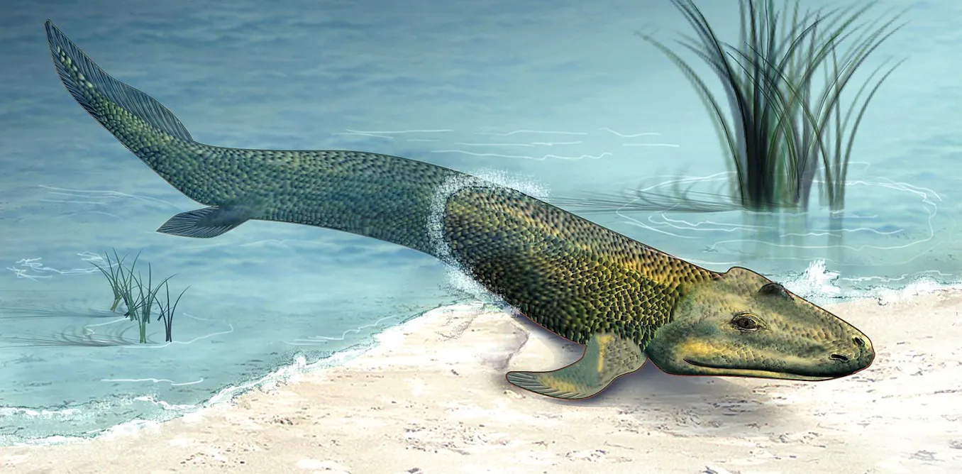 'Walking' fish help scientists to understand how we left the ocean