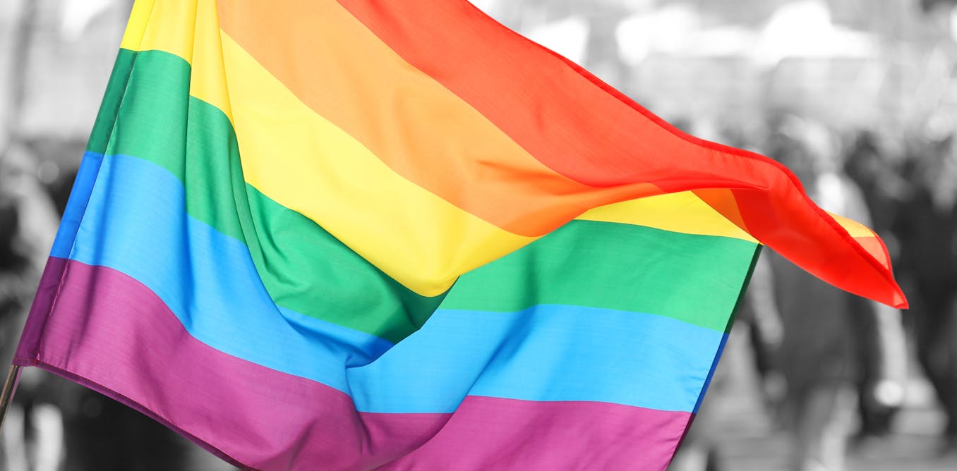 LGBT dan inklusi sosial: apa kata survei?