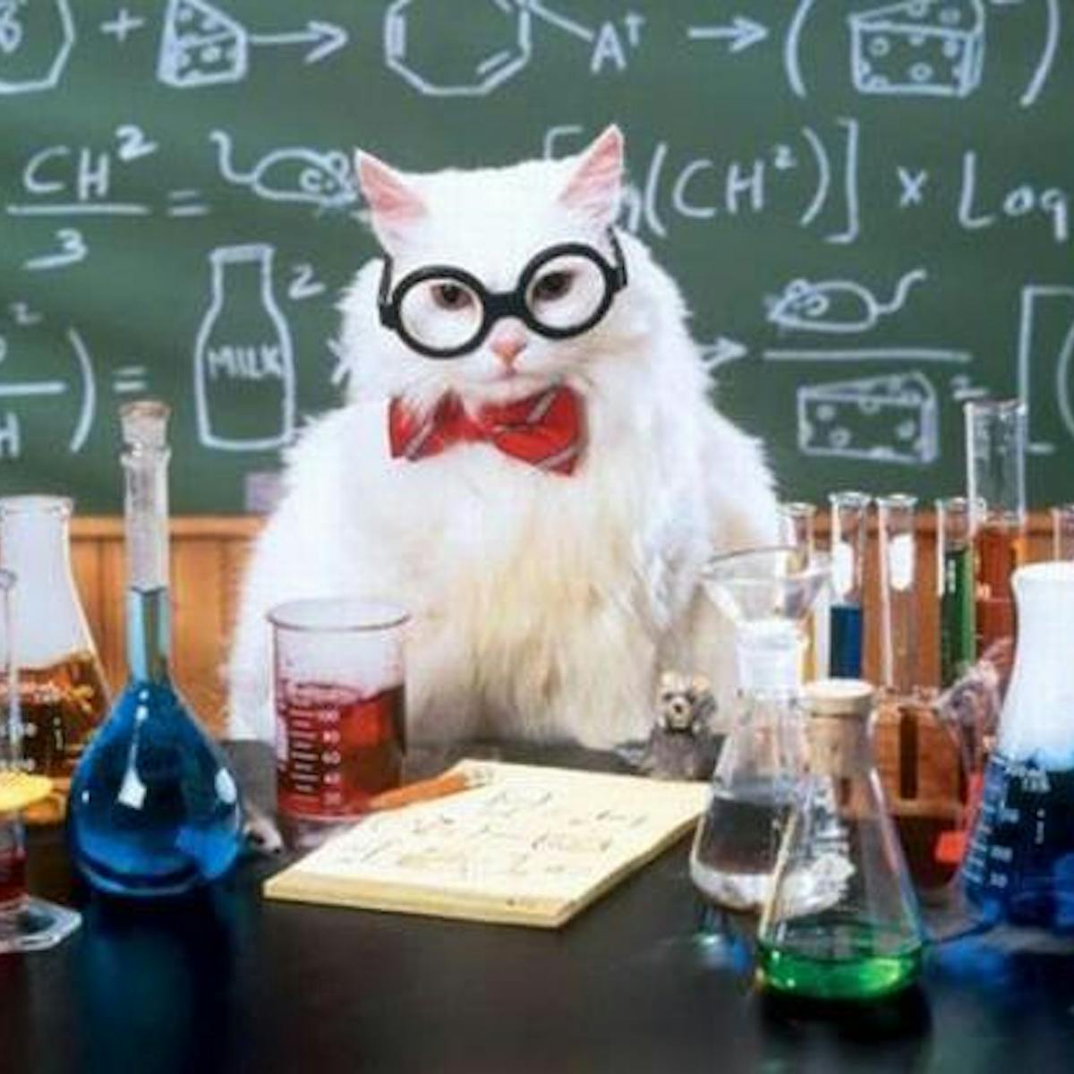 The Surprising Academic Origins Of Memes