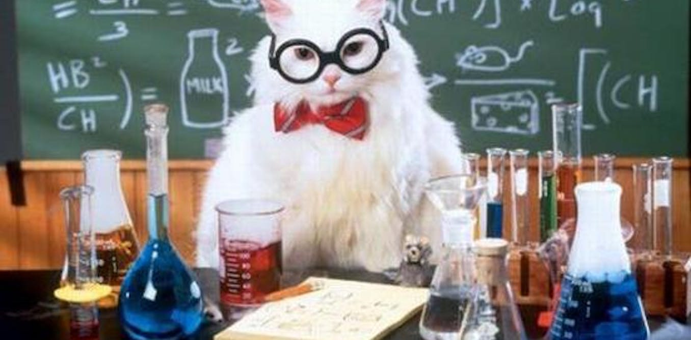 The surprising academic origins of memes