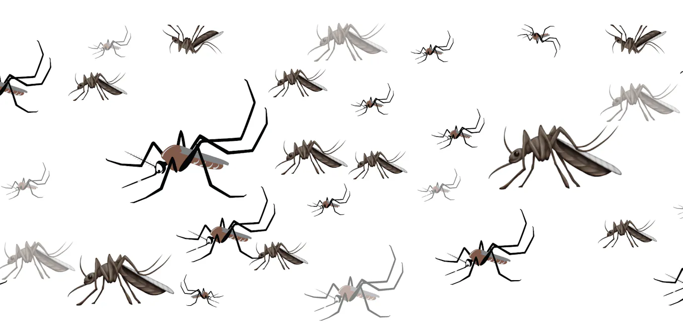 How the new mozzie emoji can create buzz to battle mosquito-borne disease