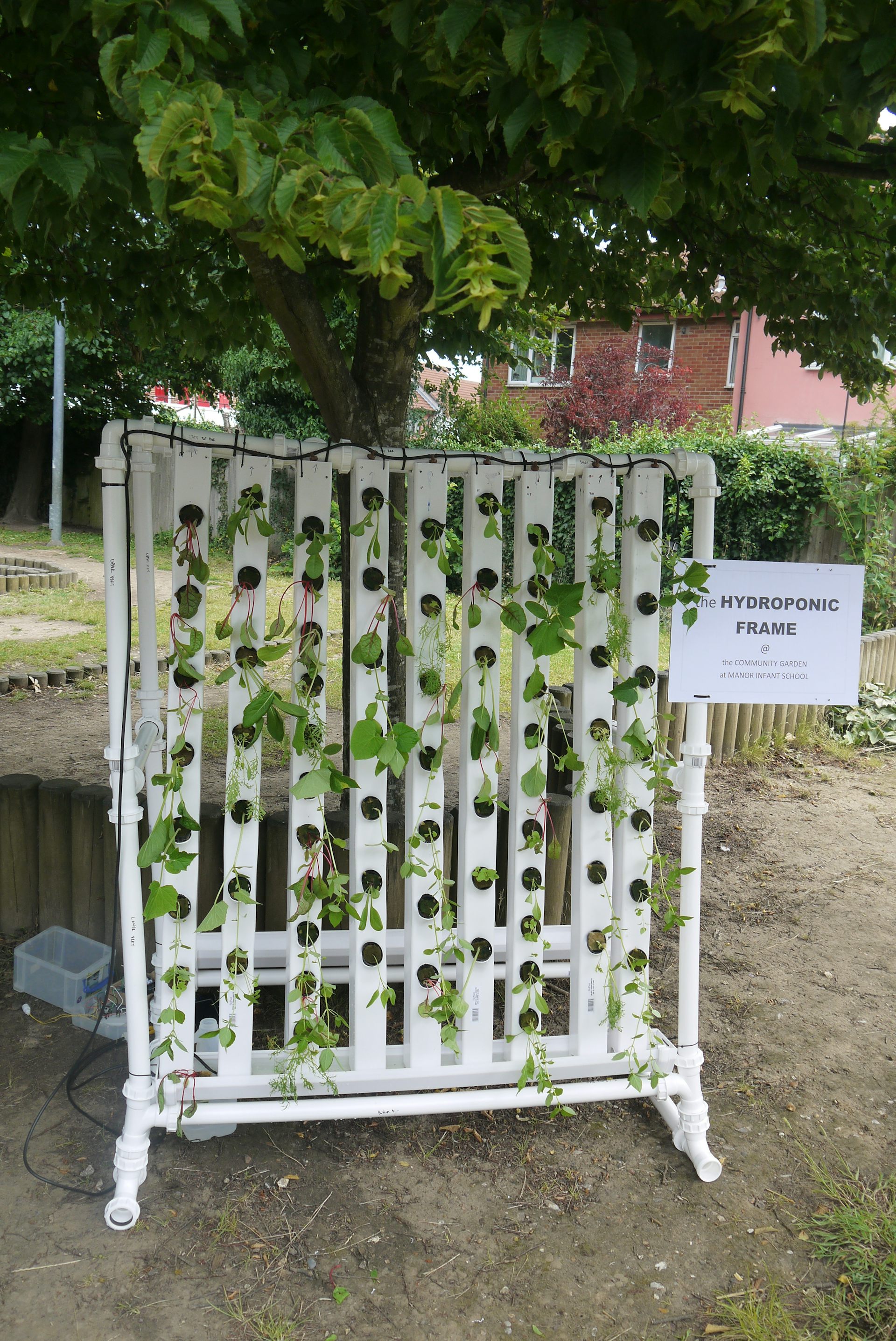 How Urban Farmers Are Learning To Grow Food Without Soil Or Natural Light