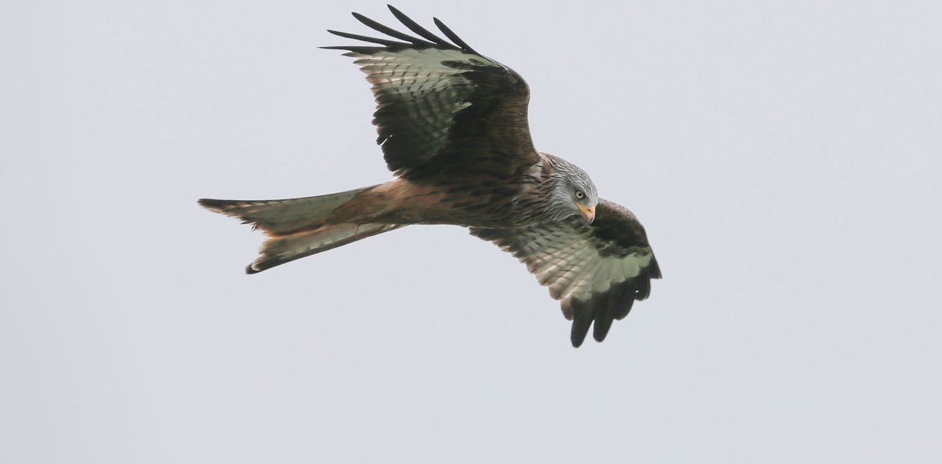 Western science catching up to Indigenous Traditional Knowledge