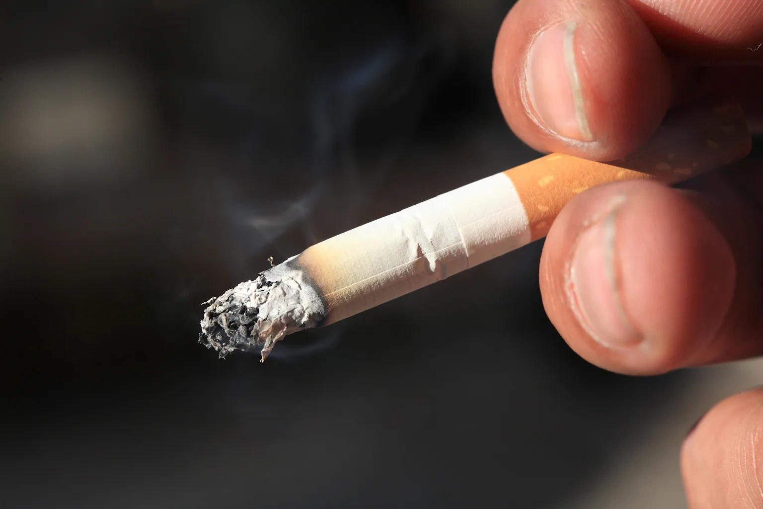 how did the success of tobacco growing change virginia Tobacco in Virginia