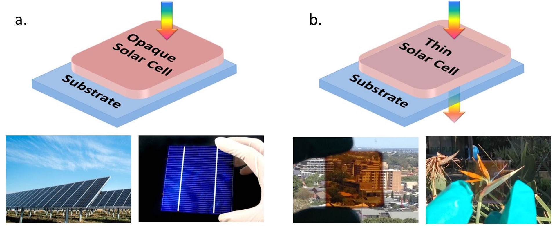 solar panels that let light through