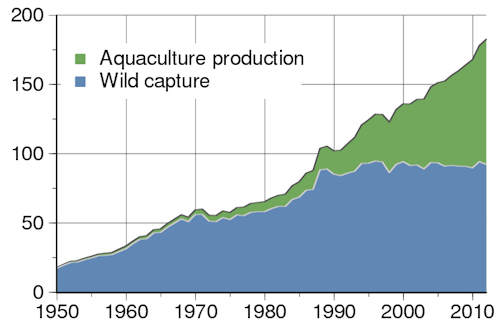 Graph about Global total of wild fish capture and aquaculture production (million metric tons).  Graph about Global total of wild fish capture and aquaculture production (million metric tons).