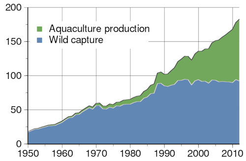 Graph about Global total of wild fish capture and aquaculture production (million metric tons). 