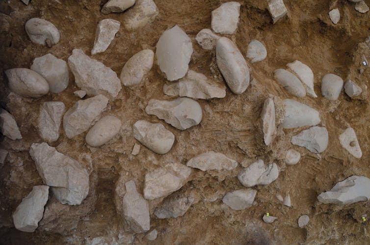 Giant handaxes suggest that different groups of early humans coexisted in ancient Europe