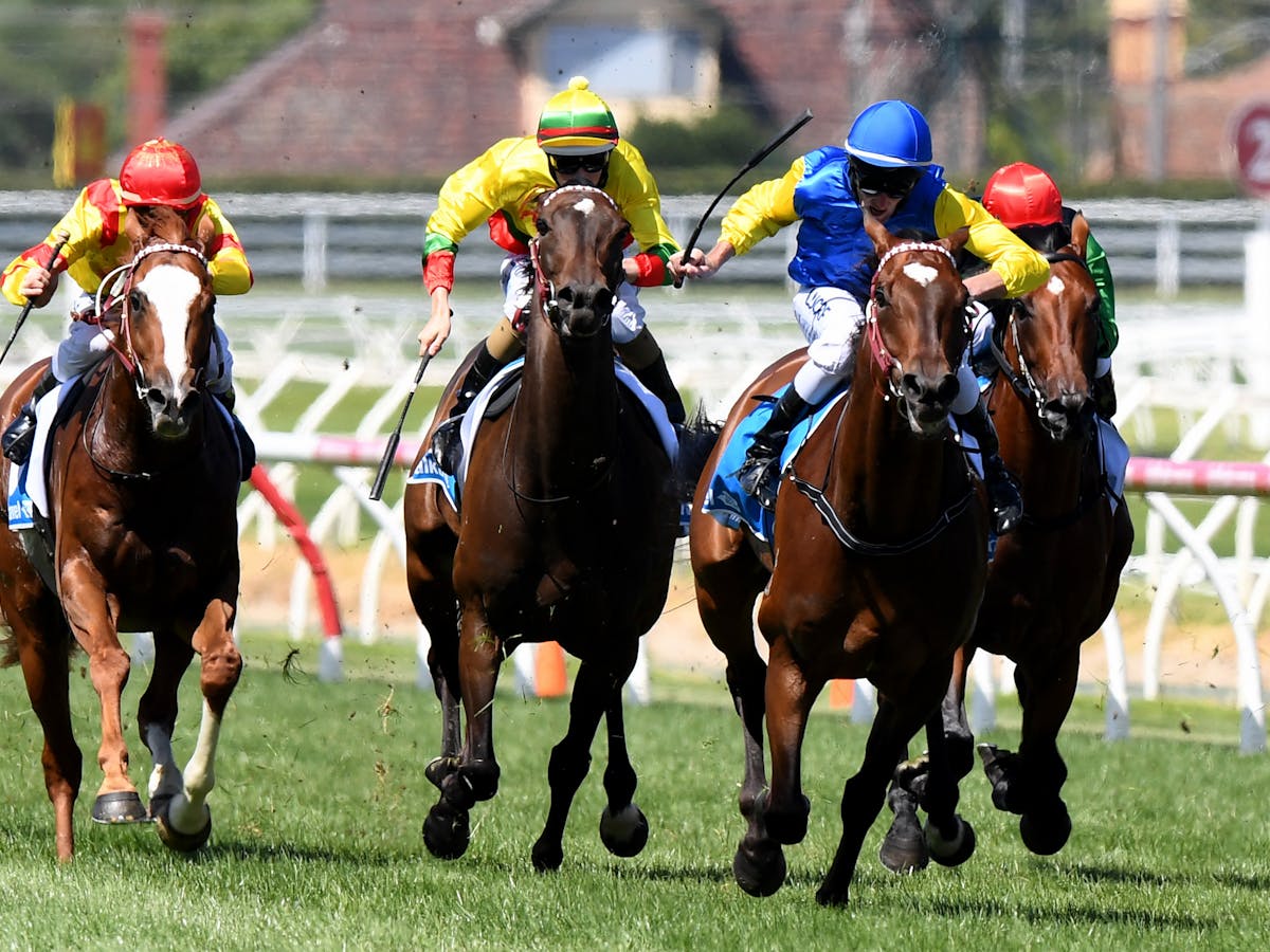 How Many People Bet On Horse Racing How Many People Bet On Horse Racing