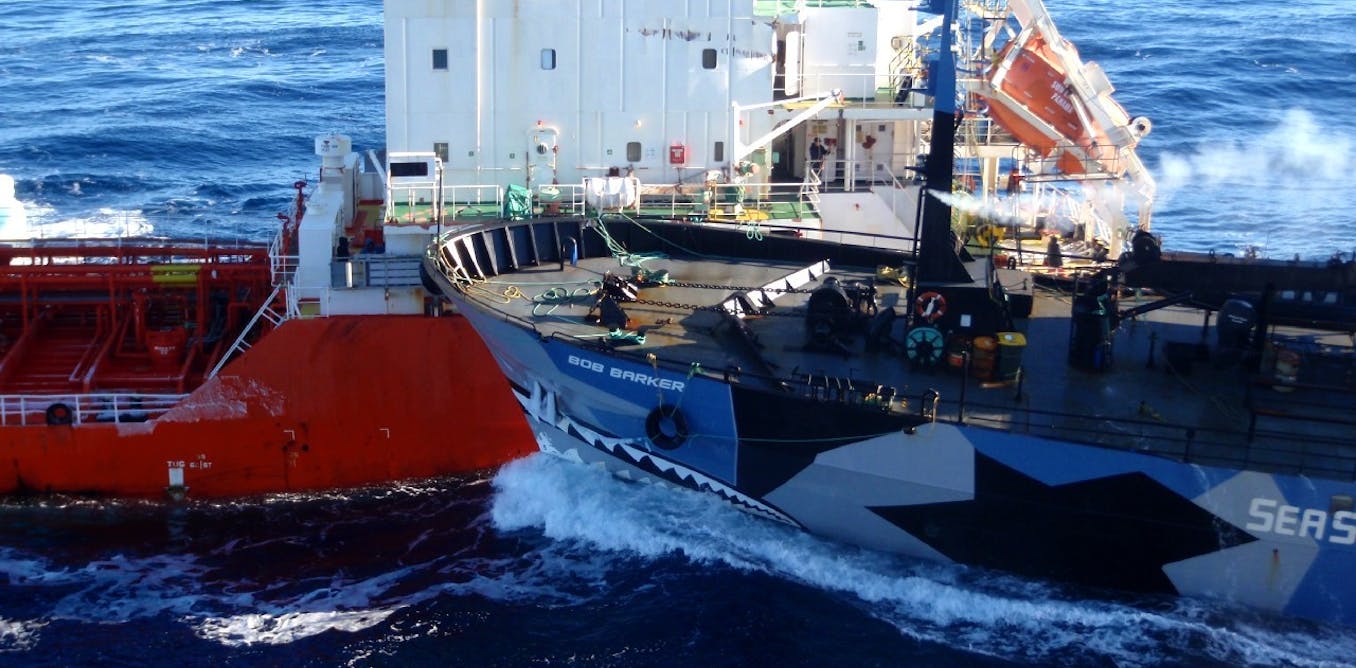 Судно видео. Sea Shepherd суда. Столкновение судна. Столкновение судов в море. Столкновение кораблей.