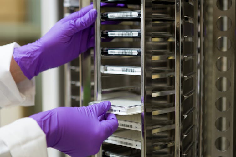 Starting with Mother Nature's designs will speed up critical development of new antibiotics