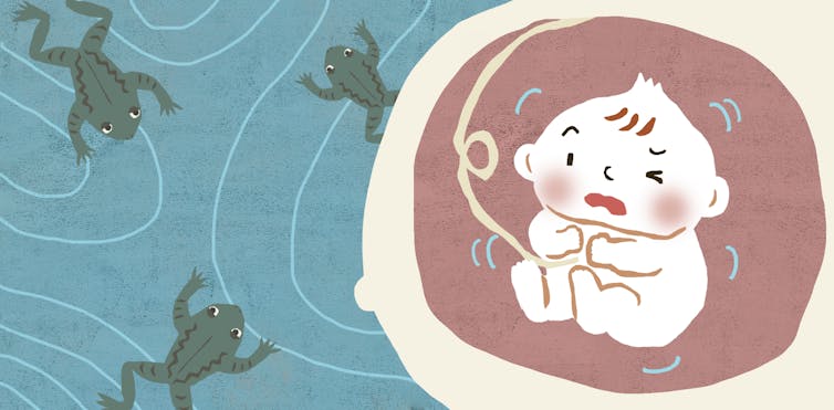 File 20180222 152382 17t78h6.jpg?ixlib=rb 1.1