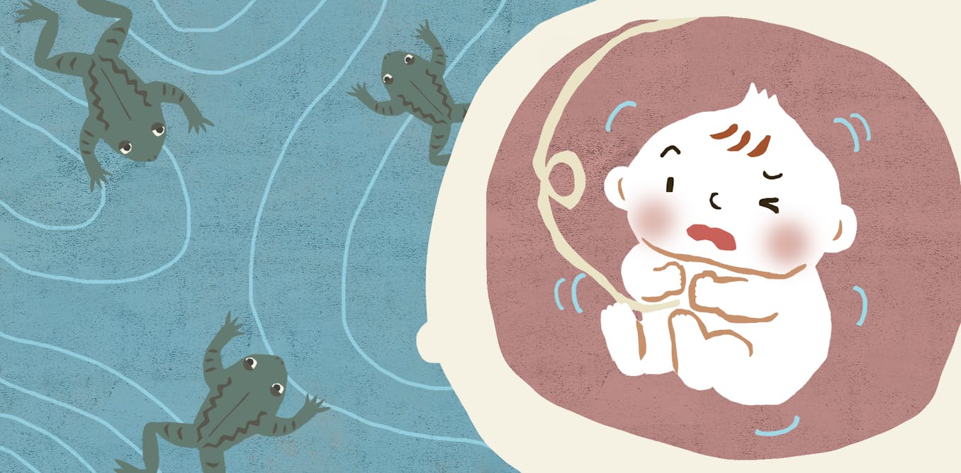 Xcode mac app get rid of title bar windows 10 Xcode mac app get rid of title bar windows 10