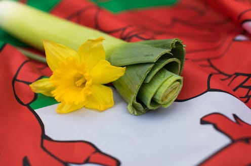 Image result for st david's day