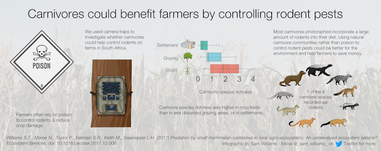 rodent control by carnivores