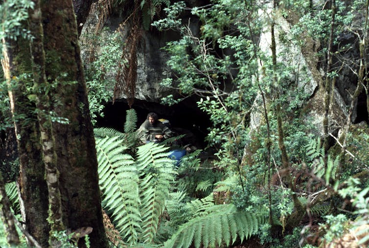 how archaeology helped save the Franklin River