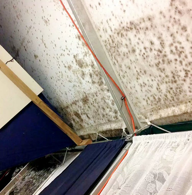 Mould levels seen at Nauru detention centre are enough to cause serious health problems