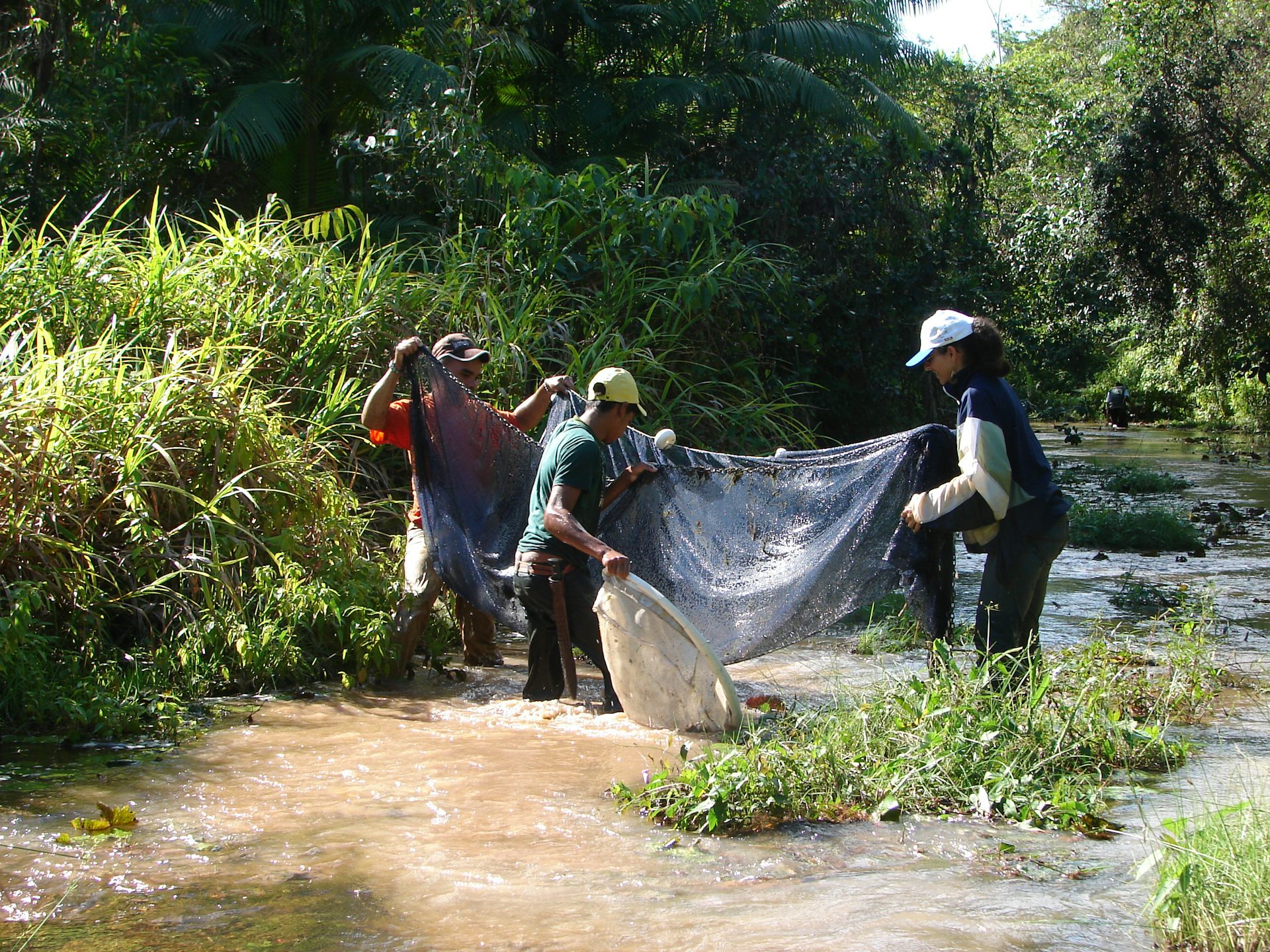 Amazonian dirt roads are choking Brazil's tropical streams