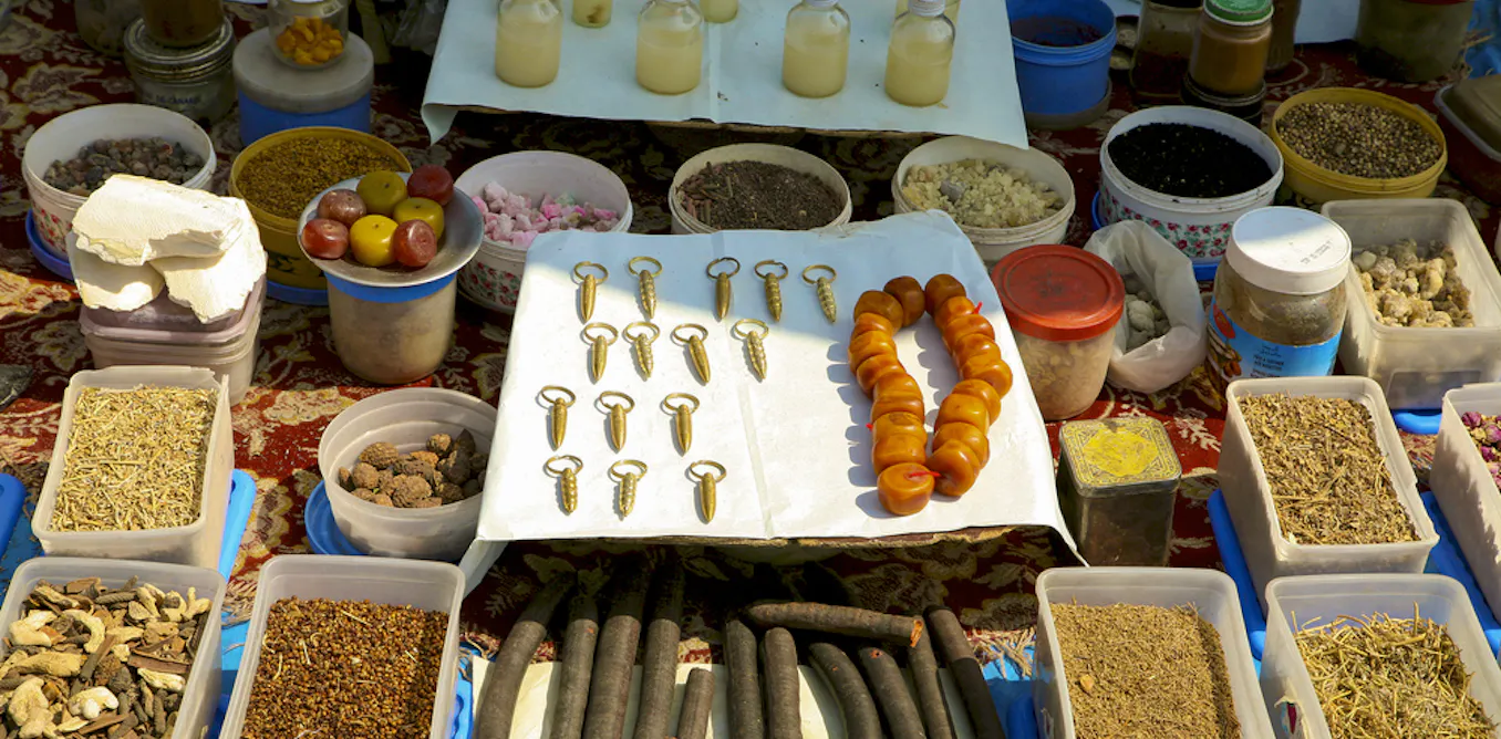 Stroke Healing Herbs by Prof Psychic Zando +27635297926 https://images.theconversation.com/files/208655/original/file-20180302-65522-t1neoh.jpg?auto=format&fit=crop&h=668&ixlib=rb-4.1.0&q=45&w=1356