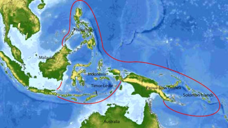 There are dozens of sea snake species in the Indian and Pacific oceans, but none in the Atlantic or Caribbean. Why?