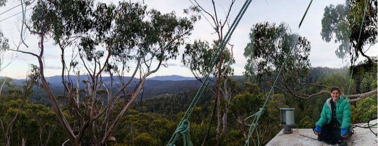 going beyond our backyard to protect the reef