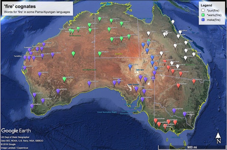 The origins of Pama-Nyungan, Australia's largest family of Aboriginal languages