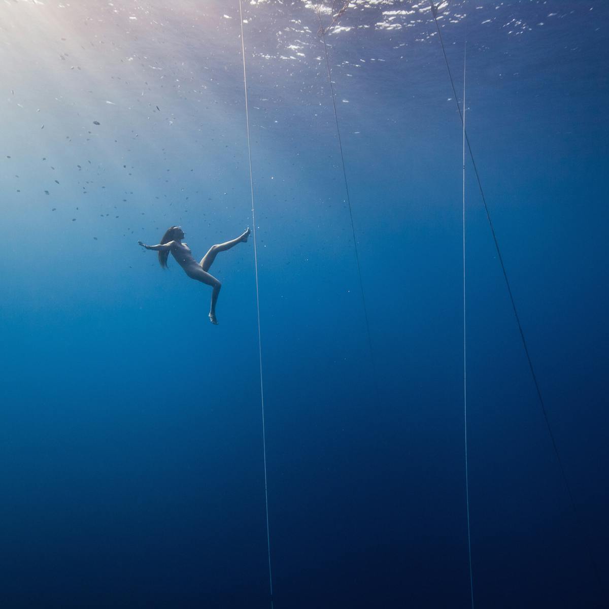 Free Divers Have Long Defied Science And We Still Don T Really Understand How They Go So Deep Free Divers Have Long Defied Science And We Still Don T Really Understand How They Go So Deep