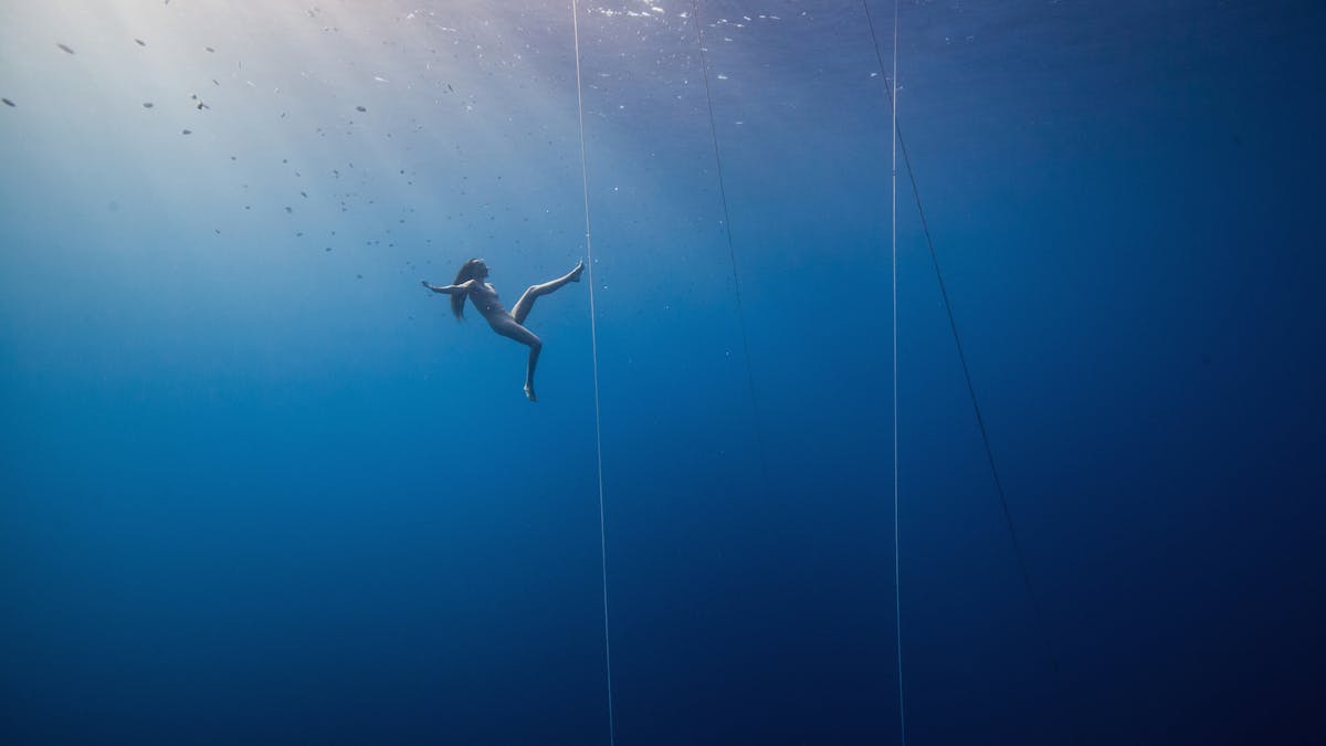 Free Divers Have Long Defied Science And We Still Don T Really Understand How They Go So Deep Free Divers Have Long Defied Science And We Still Don T Really Understand How They Go So Deep