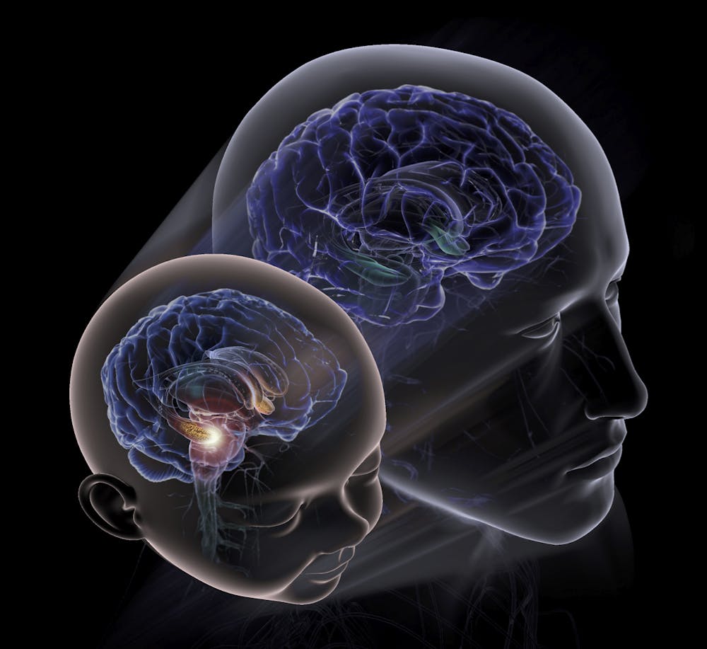 Neurons Illustration