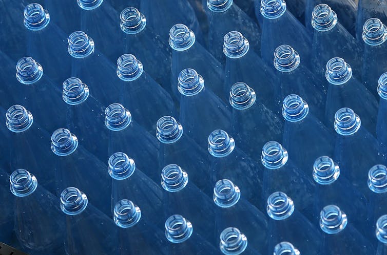 tap water is best, but what bottle should you drink it from?