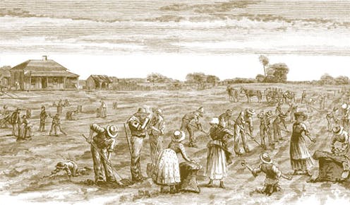 how the Irish influenced Australian English