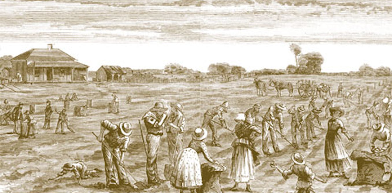 Barracking, sheilas and shouts: how the Irish influenced Australian English