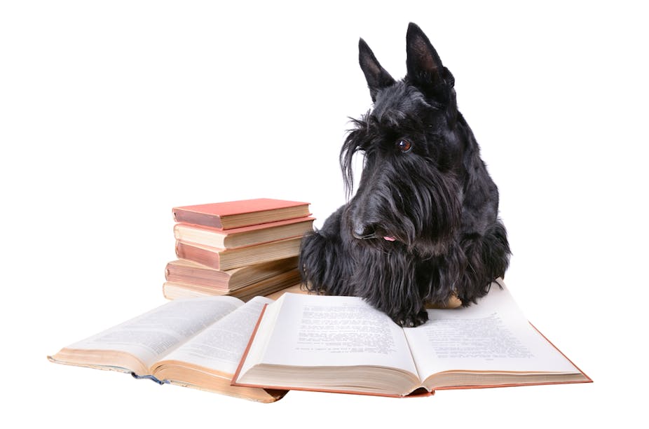 Most Scottish Authors Want To Break Up The Union Why Dont -