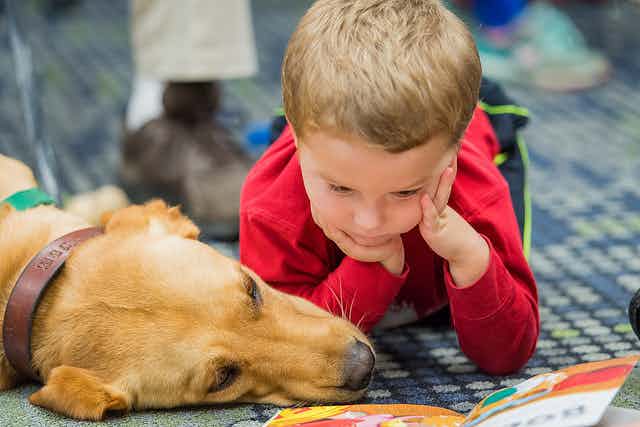 research on therapy dogs in schools