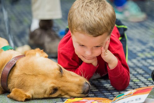 Therapy dogs can help reduce student stress, anxiety and improve school attendance