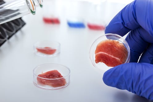 Should lab-grown meat be labelled as meat when it's available for sale?