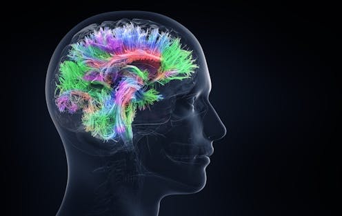 Brain information. Визуализация мозга. Мозговая активность.