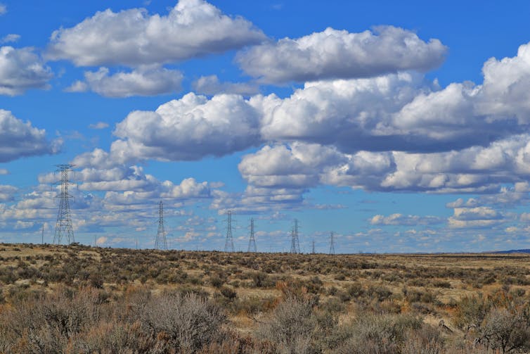 Cumulus are little white fluffy clouds, like cotton wool.