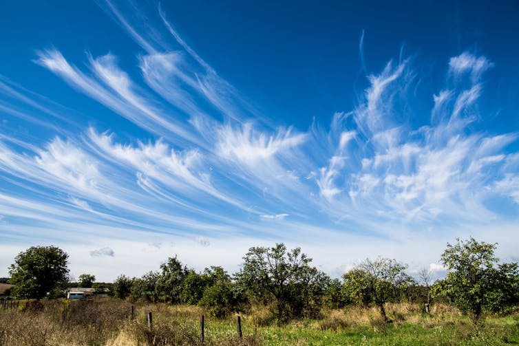Six Clouds You Should Know About And What They Can Reveal About The Weather Six Clouds You Should Know About And What They Can Reveal About The Weather