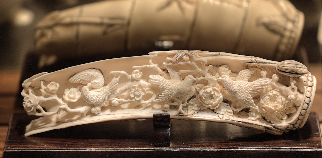 Paradigm shift as African countries throw their weight  Paradigm shift as African countries throw their weight