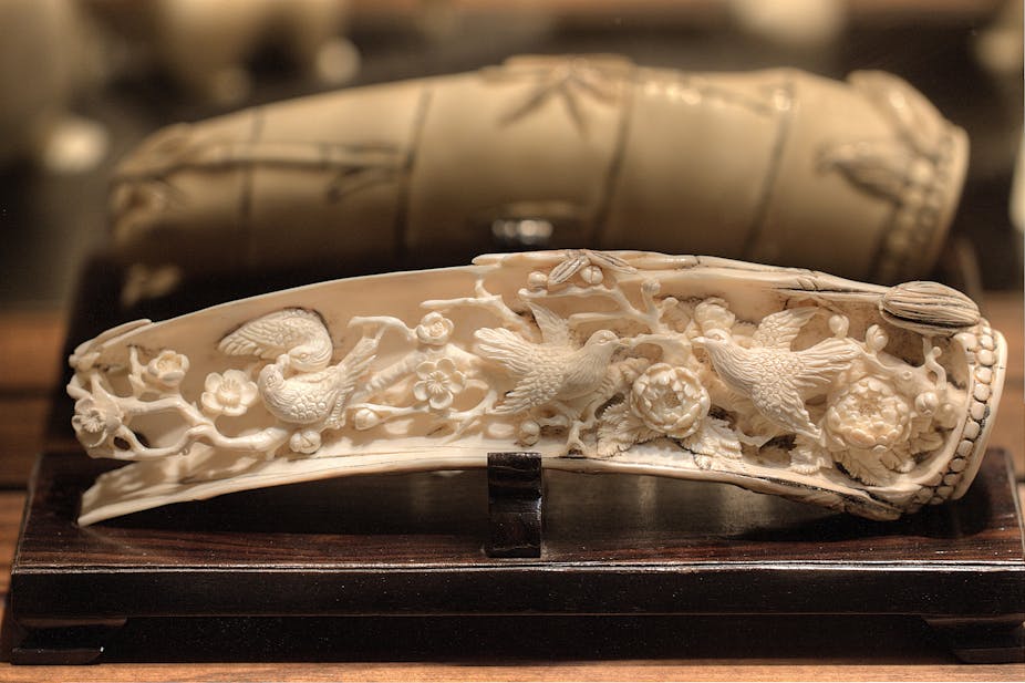 Paradigm shift as African countries throw their weight behind ivory ban