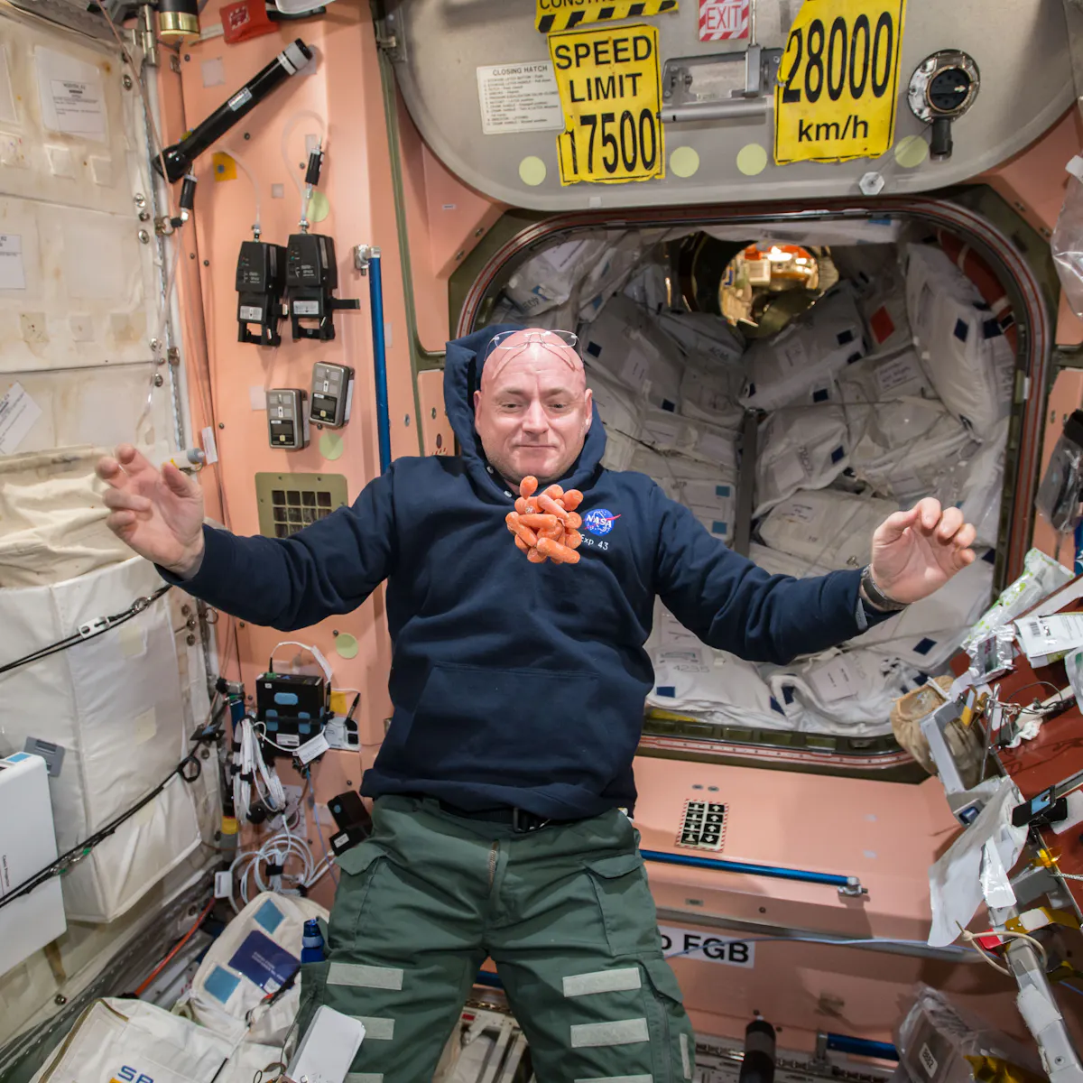 does your dna really change in space
