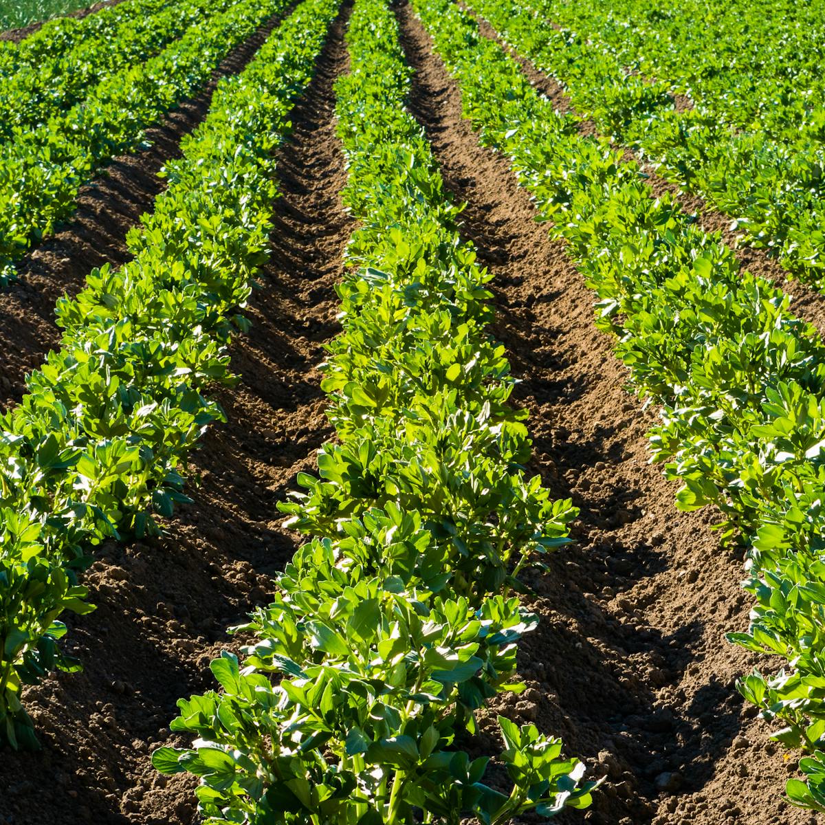 We Know How Food Production Needs To Change If Crisis Is To Be Avoided So Why Isn T This Happening