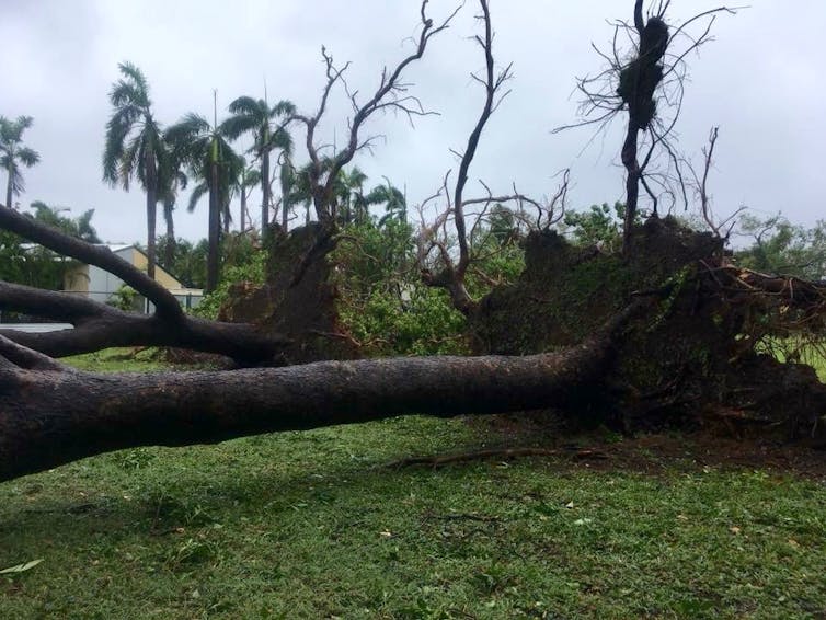 Darwin's paying the price after Cyclone Marcus