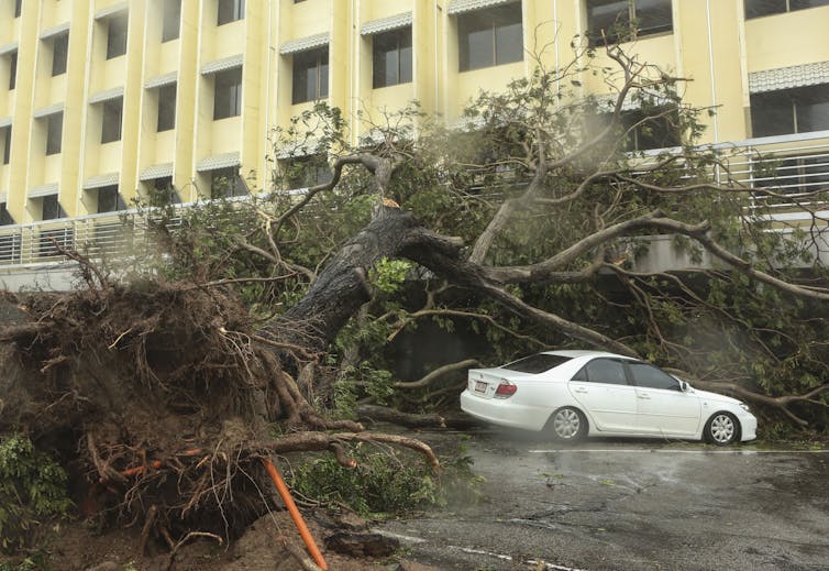 Darwin's paying the price after Cyclone Marcus