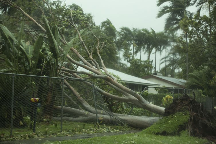 Darwin's paying the price after Cyclone Marcus