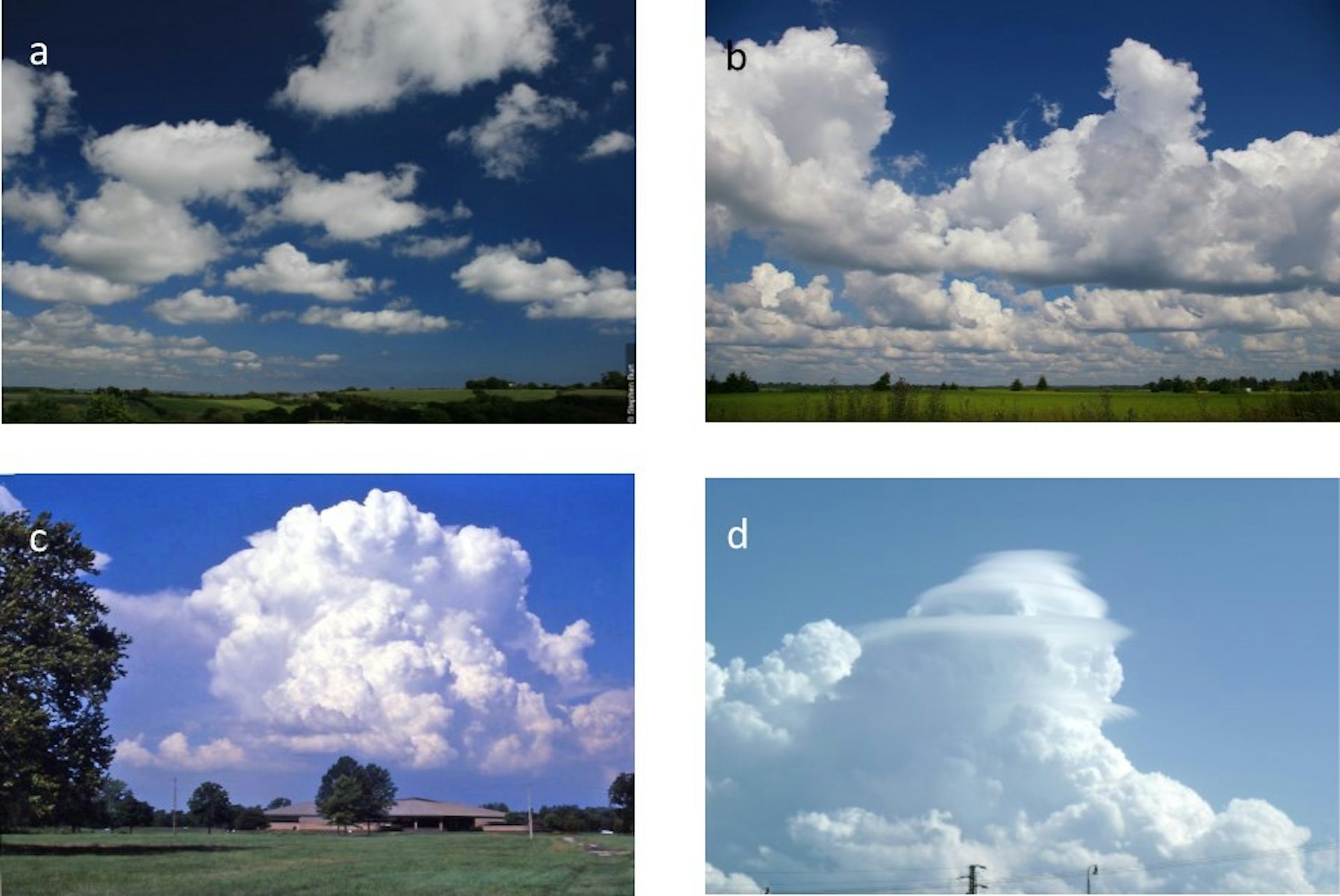 How To Discover A New ‘species’ Of Cloud – A Sky Spotter’s Guide