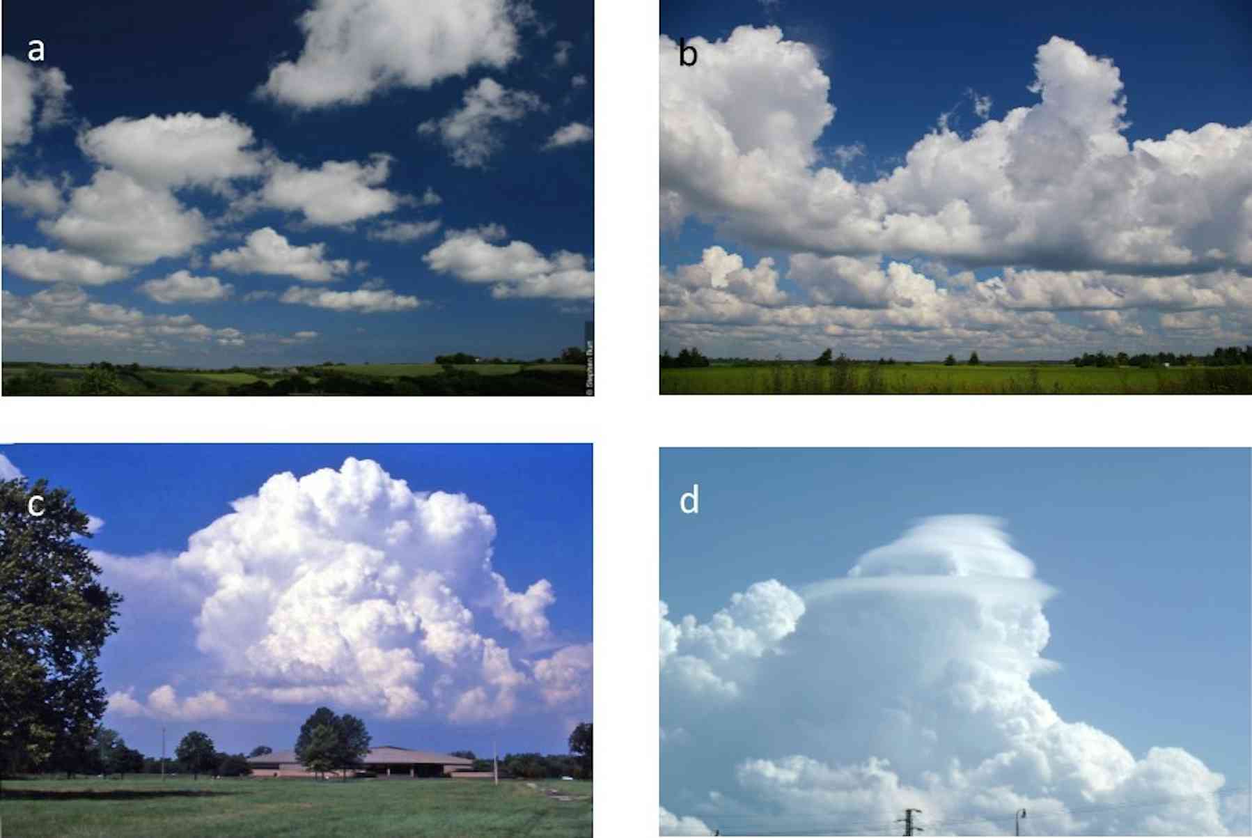 How To Discover A New Species Of Cloud A Sky Spotters Guide